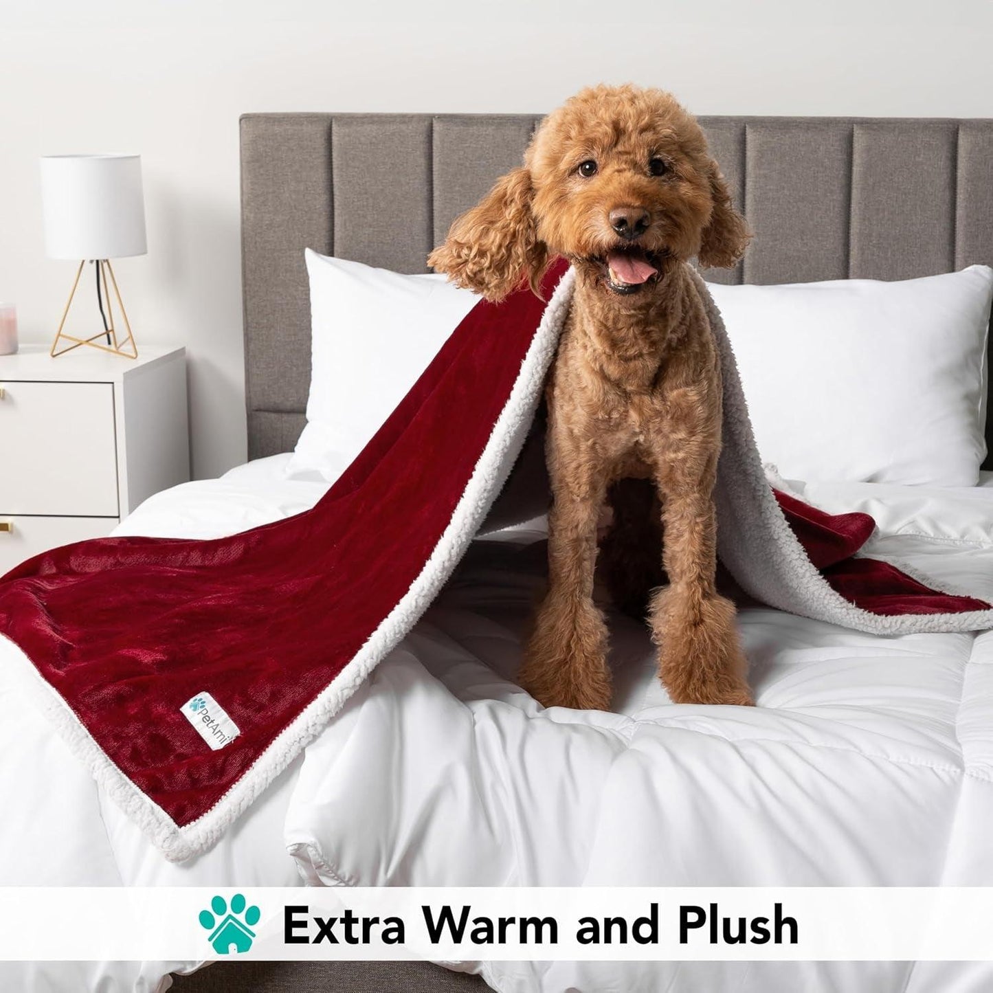 Dog Blanket for Small Medium Dogs, Pet Bed Blanket Cat Puppy Kitten, Fleece Furniture Couch Cover Protector Sofa Car, Soft Sherpa Dog Throw Plush Reversible Washable, Mini 29X40 Maroon Red - Oliver Autosports
