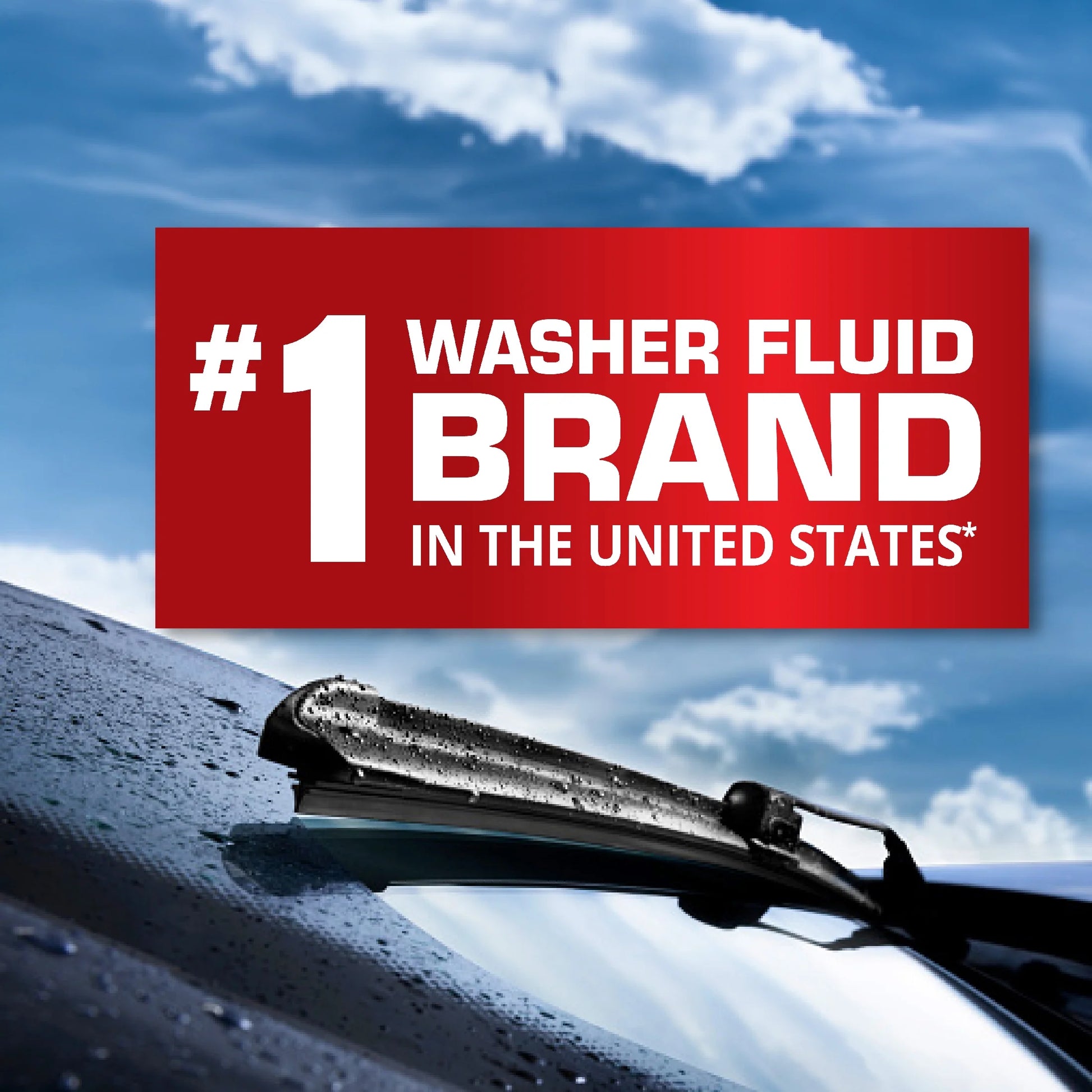 -20F 2-In-1 All-Season Washer Fluid